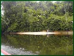 Suriname rivier