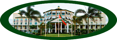 Hotels
