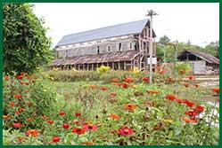 goederenloods peperpot