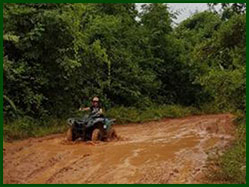 Quad
