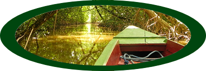 Warappakreek en Bakkie