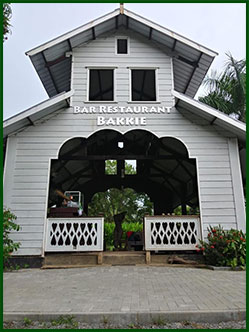 mangrove