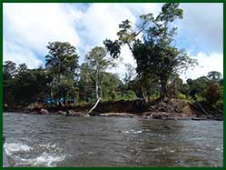 rapids