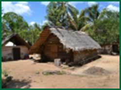 rieten huis