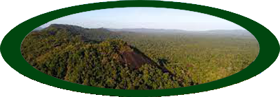 FredBerg