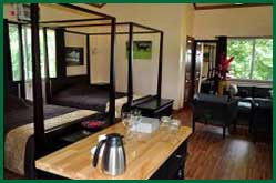 luxe accomodatie