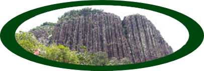 Kasikasima