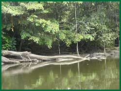 Gran Rio