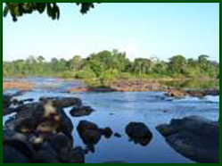 Kosindo