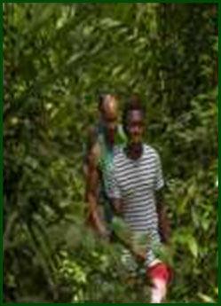 Okobergi