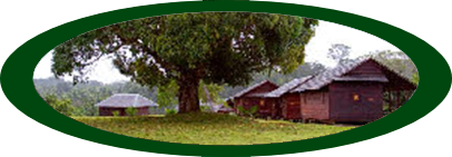 Palumeu