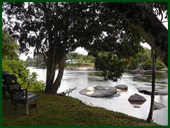 Suriname rivier