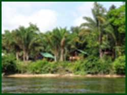 Suriname rivielodge aan r