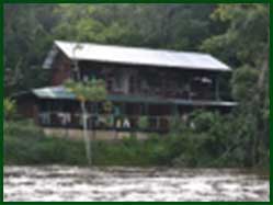 accomodatie aan Coppename rivier