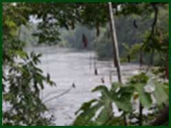 Coppename rivier