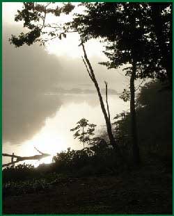 mist